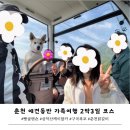 춘천 애견동반 가족여행 2박3일 코스