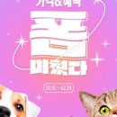 큐어랩스