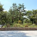 유수지근린공원 이미지