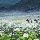 서정적인 이미지