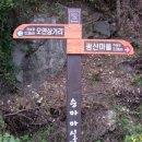 천천면오연삼거리 이미지