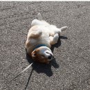 고집불통 이미지