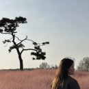 승두3길 이미지