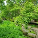 경상남도수목원(수생식물원) 이미지