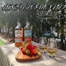 싱글로골프클럽 | 싱글몰트 위스키 로크로몬드 스팀앤파이어 153주년 스페셜 시음후기