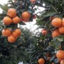 장정농장 이미지