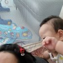 뽑아부러 이미지