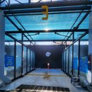 고래세차장 이미지