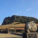 장광 | 제주 웰니스여행 후기｜숲·오름·바다에서 찾은 진짜 힐링 여행