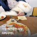 일광해빛동물병원 | 기장 일광 맛집 리버사이드 실내 애견동반식당 추천