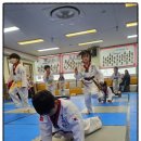 사랑 태권도 이미지