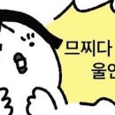 바벨피트니스 이미지