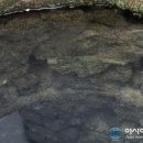 금지면 방촌마을 이미지