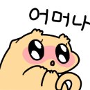 판타지게코