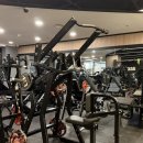 잭스 피트니스 | 언주역 헬스장 추천｜등살·팔뚝살 빼는 잭스피트니스 여자 PT 루틴