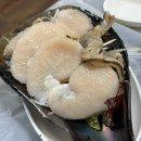 감생이민박 | 거제 바람의언덕 맛집 해금강 청정횟집민박