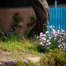 광주동산초등학교 이미지