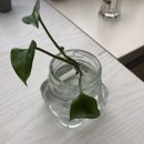 다빈스 네이버블로그