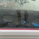 시애틀당구장 이미지