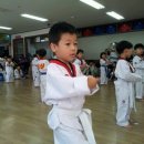 간석 성신 태권도 이미지