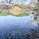 제천시 의림지 주차장 | 충북 제천여행 의림지 용추폭포 유리전망대 제천 가볼만한곳 (숙박페스타)