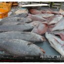 박산농장 이미지