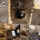 보라매동-24 이미지