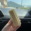 용평청과