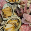 나니포차 이미지