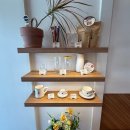 댄싱컵 | 파주 운정 카페 해오름마을카페 댄싱컵 코코넛망고스무디 마카롱 후기