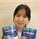대신도료