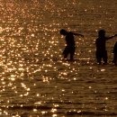 선물의집 이미지