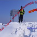 심청주유소 이미지