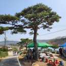 4월 정기산행 강화고려산 진달래 축제 산행 이미지