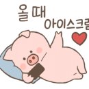 아이스크림 세계과자 할인점 이미지