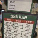 엉터리 무한대패 포항해도점