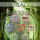 웰 빙라이프