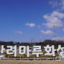 반려마루 화성 이미지