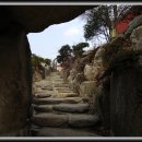 허브내음 이미지