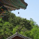 보국사 - 1148 | 보국사