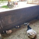 은호농장 이미지