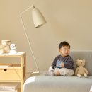 디자인G2 | 헤이홈 홈카메라 500만화소 CARE G2 추천 후기｜반려동물 홈캠 지갑 부담 덜한 선택