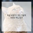 고려보청기