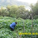 이강농장 이미지