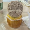 댕댕이뽀샵 | 🐾쿠킹클래스 : 강아지머핀만들기 👩‍🍳 강아지입체케익만들기 🐶🧁 펫푸드클래스후기😋