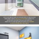 대흥동물병원 이미지