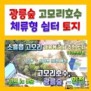 호수고모리부동산중개 이미지