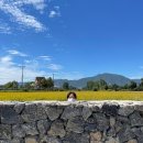 현승한의원 | 상여자 특