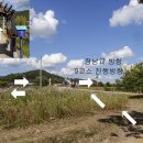 두지리 장남교 앞