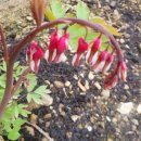 사계절농장 이미지